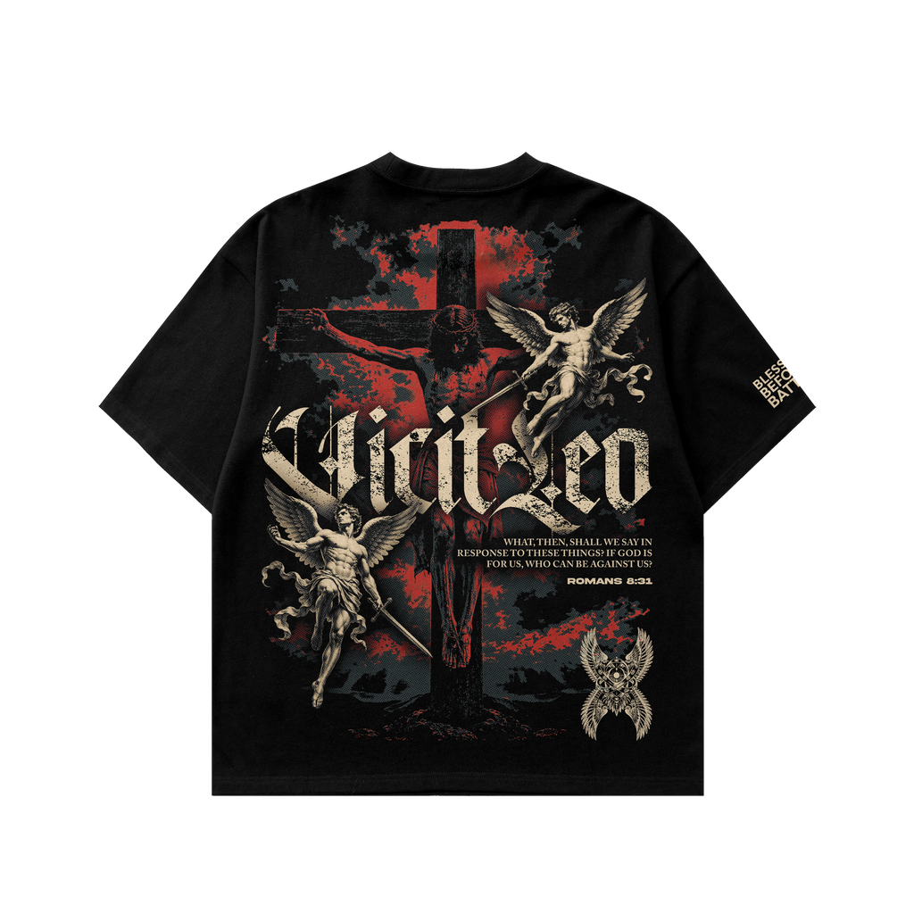 Wings of War Collection tee regular fit